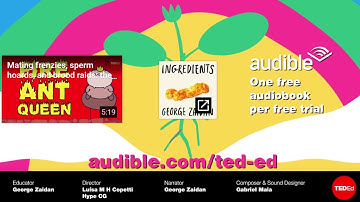 Soundtrack of TED-Ed "The bug that poops candy - George Zaidan"
