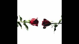 Celebrity KISSES MAKE SURE 2.23 STRICK W/ YOUNG THUG & JAMES BLAKE Profile