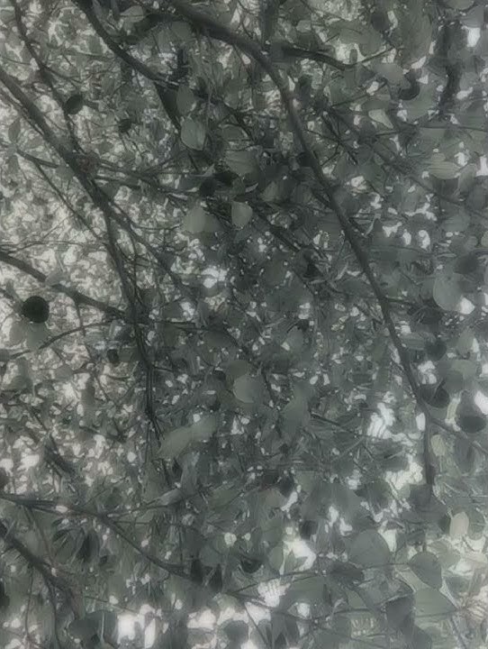 Cinta Tak Harus Memiliki - ST12. Musik Instrumen by Gitaris Laperan