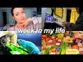 week in my life | piercings, healthy grocery haul & studying for uni