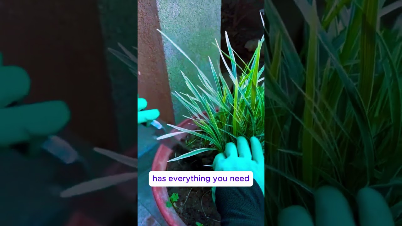 FiveJoy Garden Tool Set 🌻 Must-Have for Every Gardener! 🛠️ | 