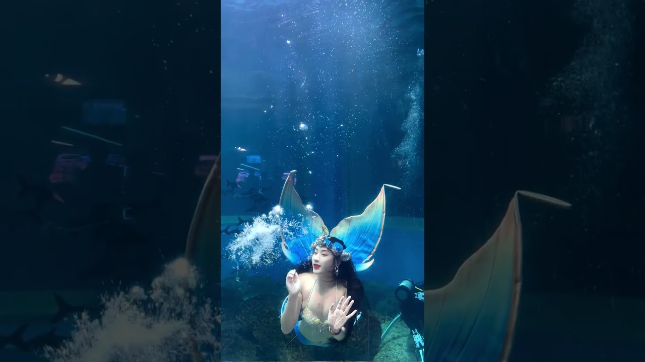 Perform to your heart's content, be a charming mermaid 