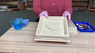 Landforms- Lake/Island Lesson