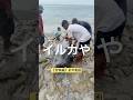 【前半】捕鯨文化を体験してきました① #海外 #旅行