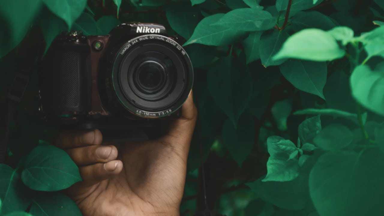 Top 5 Best Nikon Camera For Nature Photography YouTube