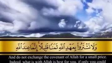 تلاوة قصيرة ورائعه  للشيخ خالد الجليل