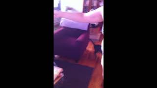 Da Bird Cat Toy Demo Video