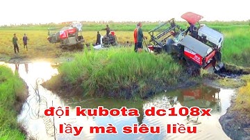 XEM CẢNH MÁY CẮT LÚA KUBOTA DC70 BINH LẦY VUÔNG TÔM ĐỒNG VỈNH THUẬN