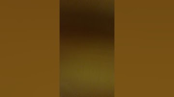 سالم الطويل تلاوه صلاه التراويح