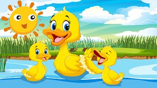 Beş Küçük Ördek Ördek Şarkısı - Hayvanlı Şarkı Afacan Çocuk Şarkıları