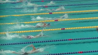 800FR 決勝 有賀 武田 佐藤 佐々木 第93回関西学生選手権水泳競技大会