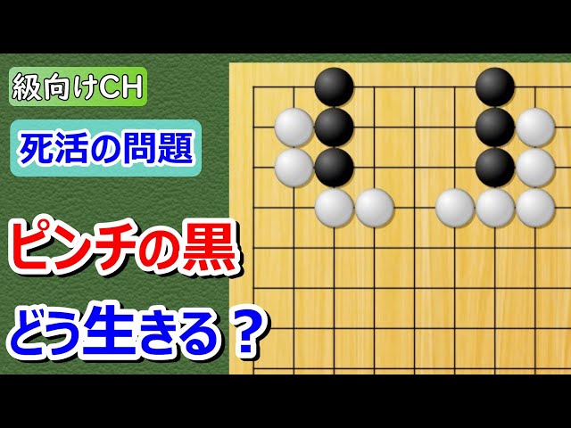 囲碁問題】級向け・死活の問題 - YouTube