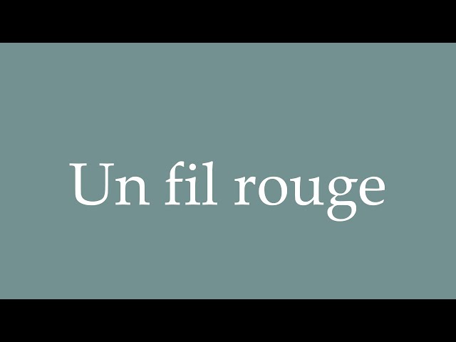 本 フランス語版 UN POINT ROUGE