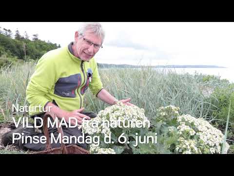 2022 06 06 Vild Mad Tirsbæk