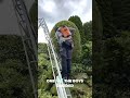 Satisfying Gardening Work🌳#garden #satisfying #cleaning #grass #lawn #viral #fyp #trending #380