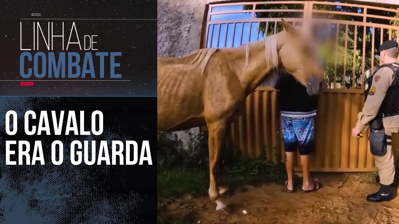 TERRENO OCUPADO PELO TRÁFICO É DESCOBERTO PELOS POLICIAIS DURANTE OPERAÇÃO | LINHA DE COMBATE