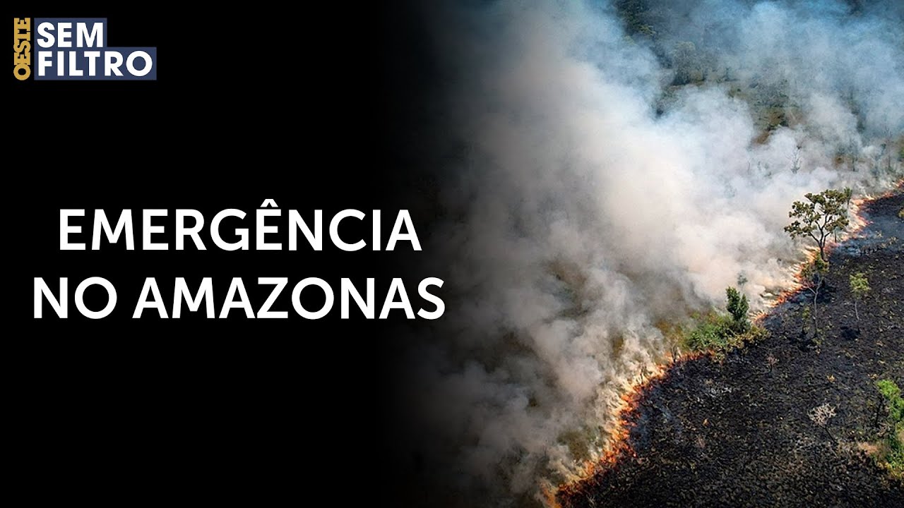 Queimadas fazem Amazonas decretar emergência ambiental | #osf