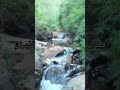 سورة الرحمن الشيخ السيد سعيد 