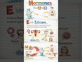 E is for Estrogen | Hormones from A to Z Explained