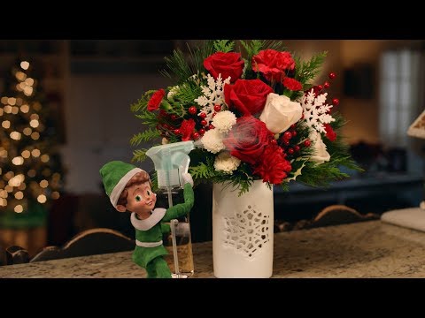 The Elf | teleflora