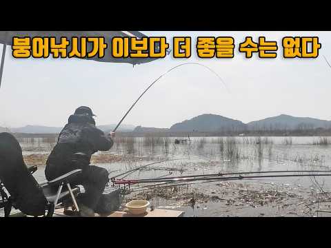 앝은 연안으로 붙은 대어들