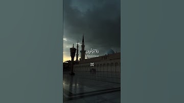 اكتب شي تؤجر علية 😊🤍 #اكسبلور #quran #راحة_نفسية #اكسبلور_فولو #تلاوة_خاشعة #تلاوة_هادئة #لايك