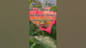 Con Ếch Điếc Và Bài Học Bỏ Ngoài Tai Lời Tiêu Cực | Truyền Cảm Hứng