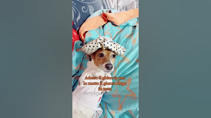 Il giorno dopo che fai serata a 30 anni #merybijouesciarpina #comedy #jackrussell #parodia