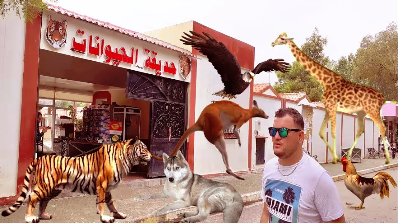 Le Zoo de Sétif حديقة الحيونات بسطيف