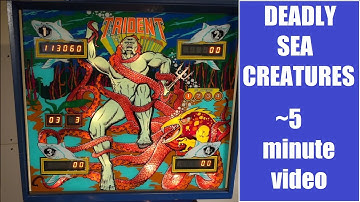 Trident - Early Stern Electronics 1979 -  quick view - pinball machine