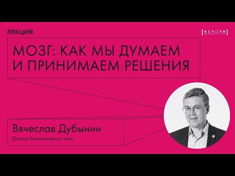 Видео: Лекция Вячеслава Дубынина «Мозг: как мы думаем и принимаем решения»