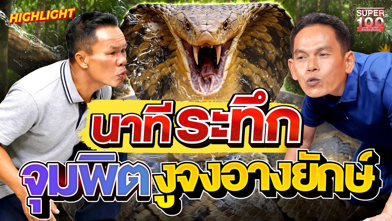 แทบกลั้นหายใจ อันตรายถึงชีวิต ท้าทายงูอสรพิษที่ใหญ่ที่สุด HIGHLIGHT | SUPER100