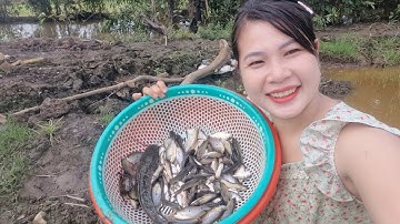 Bẫy Cá 12 Cửa Ngục Dưới Mương Lúa Trúng Cá Thấy Mê | Cẩm Tiên Vlog