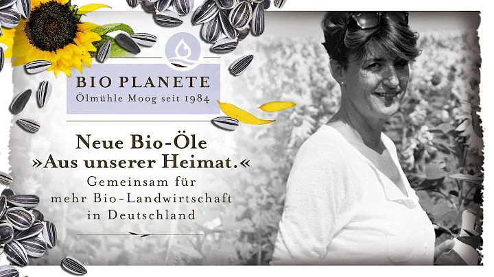 Bio-Sonnenblumen...  "Aus unserer Heimat": Judith Faller-Moog, Biohofgut Faller