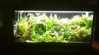 TC421 test