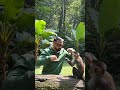 Monkey dance training challenge