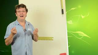 Cm2 - Les Triangles - 2