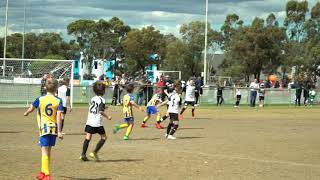 2019 U10's Keilor Cup Final - Avondale Heights FC v Meadow Park FC