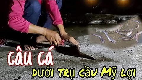Câu cá ngát câu cá cầu Mỹ lợi | Fishing for venomous fish
