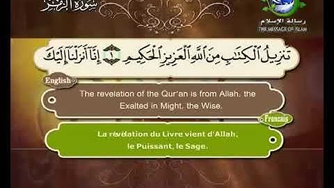 سورة الزمر سعد الغامدي رسالة الأسلام