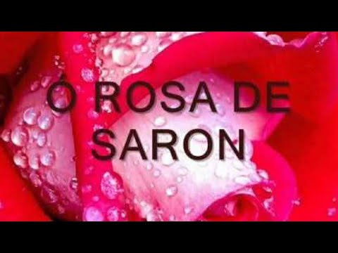 rosa de saron acustico rar rosa de saron acustico rar
