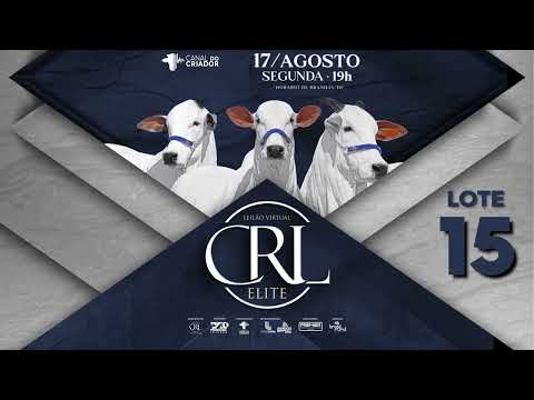 LOTE 15   NCRL 1065