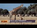 canal3 direct