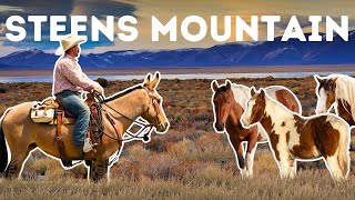 MULE COUNTRY: Riding the Big Indian Trail of Steens Mountain  (S1 EP4)