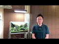 水草水槽の油膜を消す方法①「まずは原因を知ろう」How to remove aquarium oil film on top