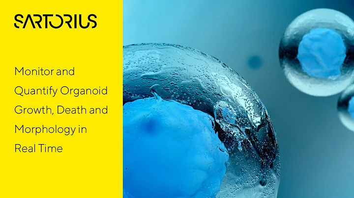 Label-Free, Real-Time Live Cell Assays for 3D Organoids Embedded in Matrigel®