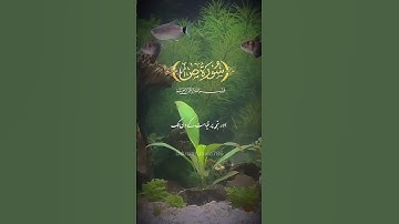 Surah Sad (سورة ص)- Punishment for the Arrogant & Reward for the Righteous
