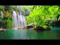 Relaxing music for stress relief anxiety and depressive states  heal mind body and soul