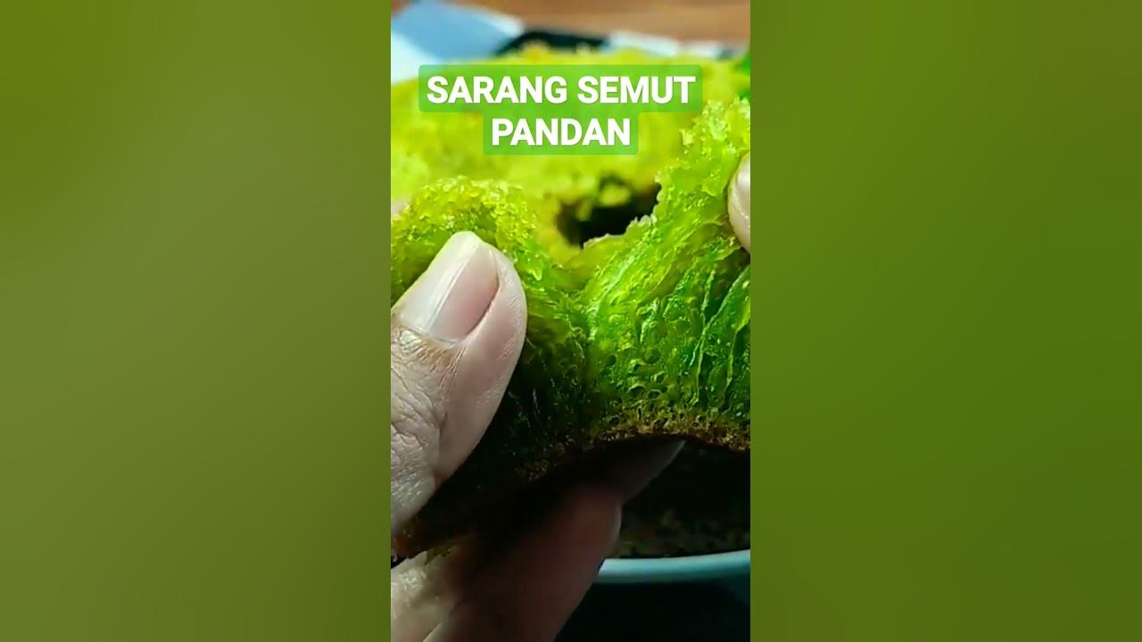 BOLU SARANG SEMUT PANDAN
