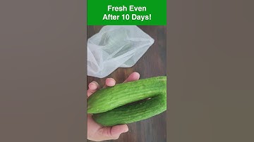 Cucumber Storage Hack - Fresh For Days! | खीरा को लंबे समय तक ताज़ा रखें